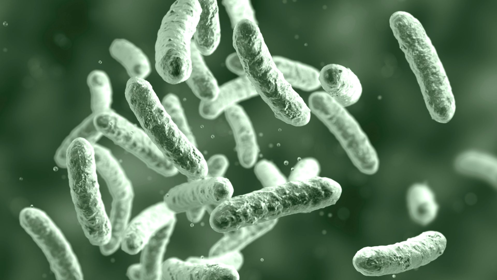 Anaerobic Digestion Microorganisms