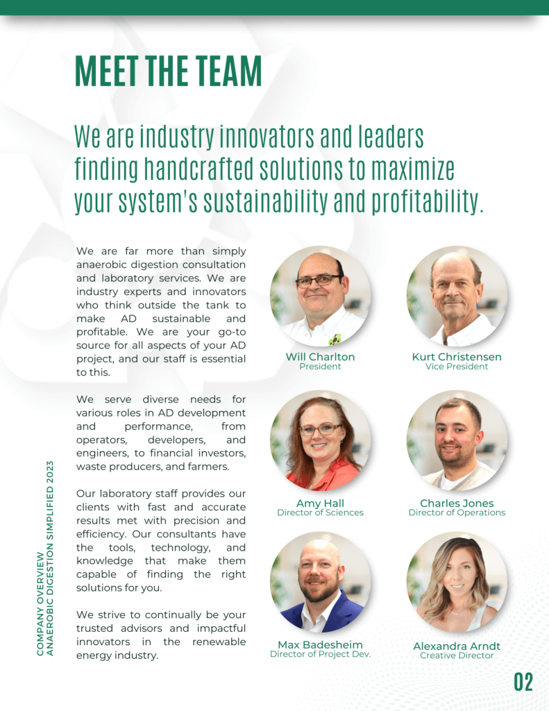 Meet the Team