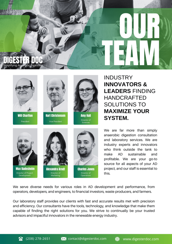 Meet Our Team