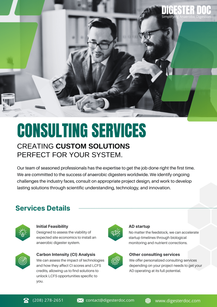 Consulting Services